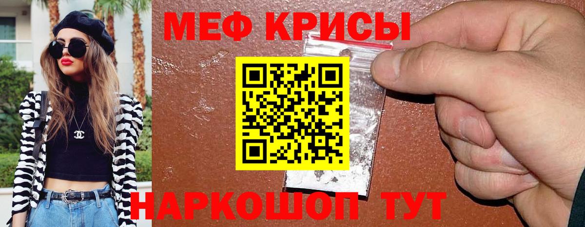 МЯУ-МЯУ мяу мяу  Вход с VPN  Элиста 