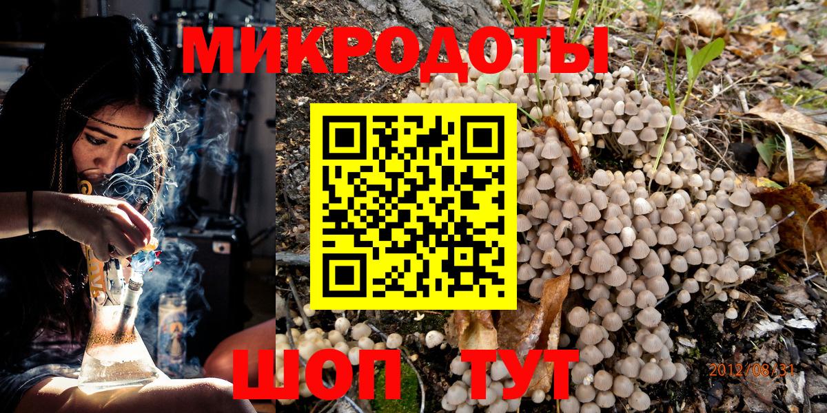 купить наркотик  Вход с VPN  Элиста  Галлюциногенные грибы Psilocybe 